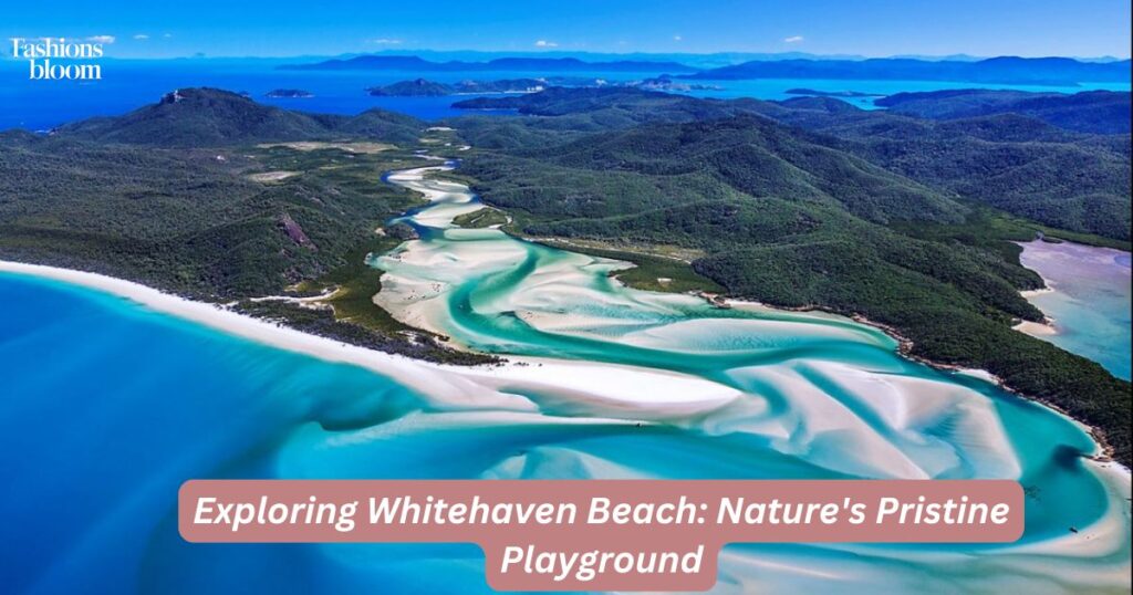 Exploring Whitehaven Beach: Nature's Pristine Playground