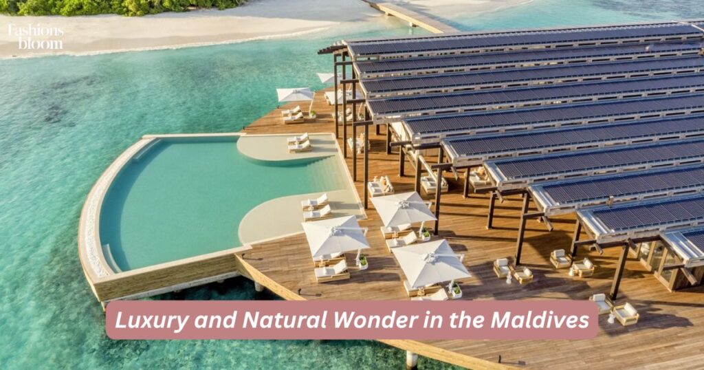 Luxury and Natural Wonder in the Maldives