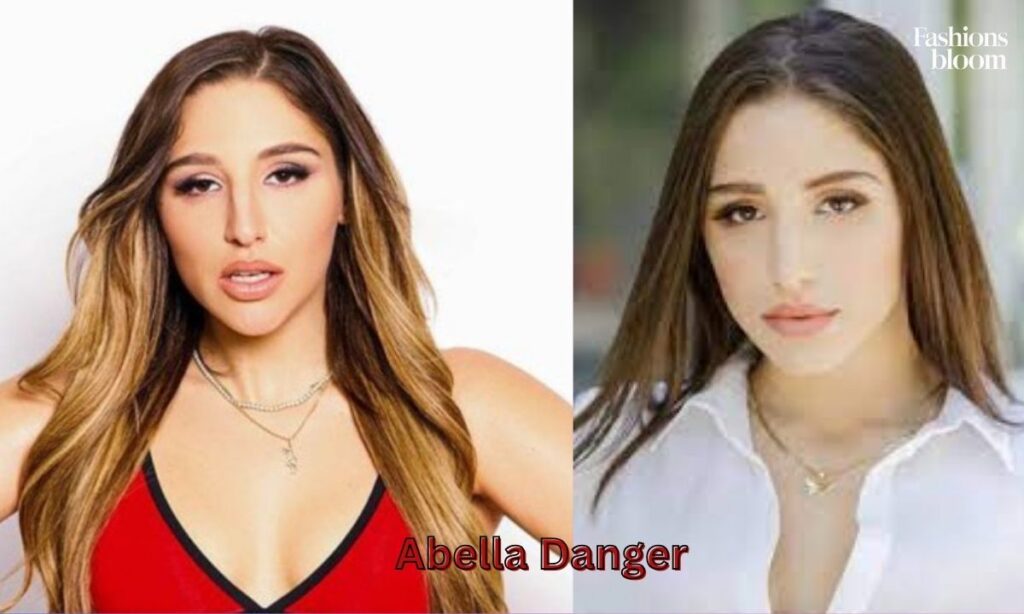 Abella Danger Net Worth Estimation